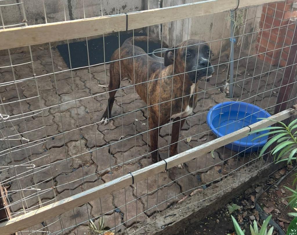 e86298eb-6f5d-0faa-4d32-eef13f2d309d