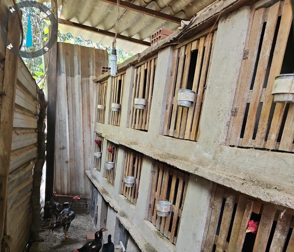 ec366c18-e06b-3bb6-2843-24e78ffefd72