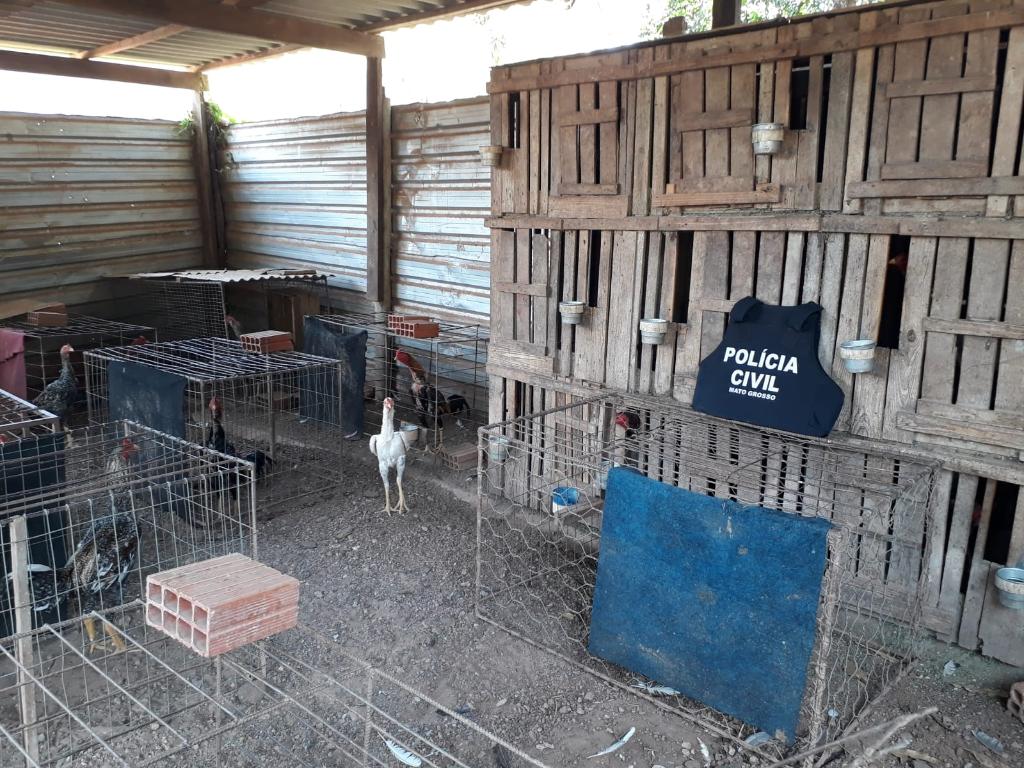 ffae86e5-5138-3a98-3a10-f8bbd6844a51